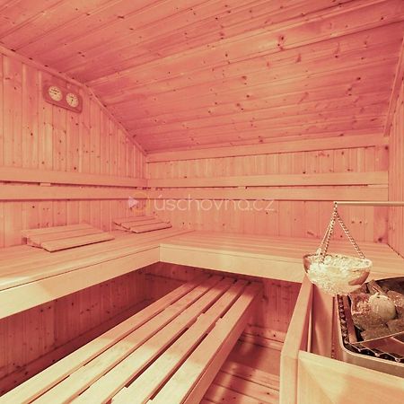 Wellness House Ladova Street Villa Mariánské Lázně Kültér fotó